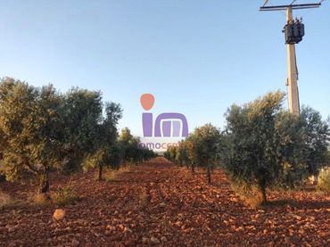 Country house for sale in Moral de Calatrava