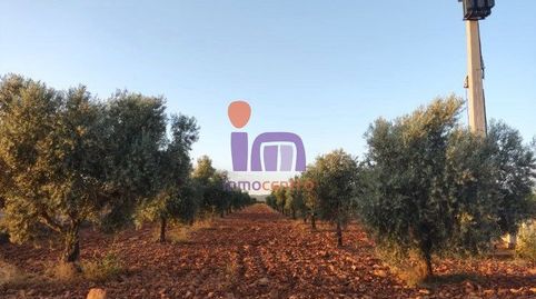 Finca Rúst. en venta en Moral De Calatrava.