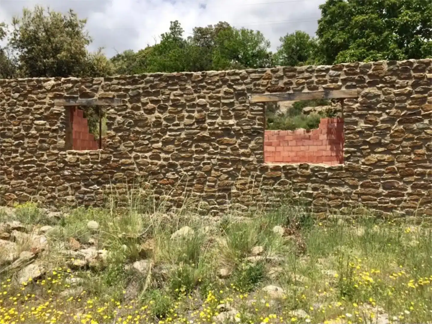 Vista exterior de Finca rústica en venda en Cáñar