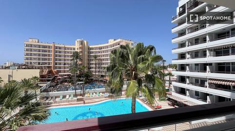 Photo 5 of Study to share in Playa del Inglés, Las Palmas