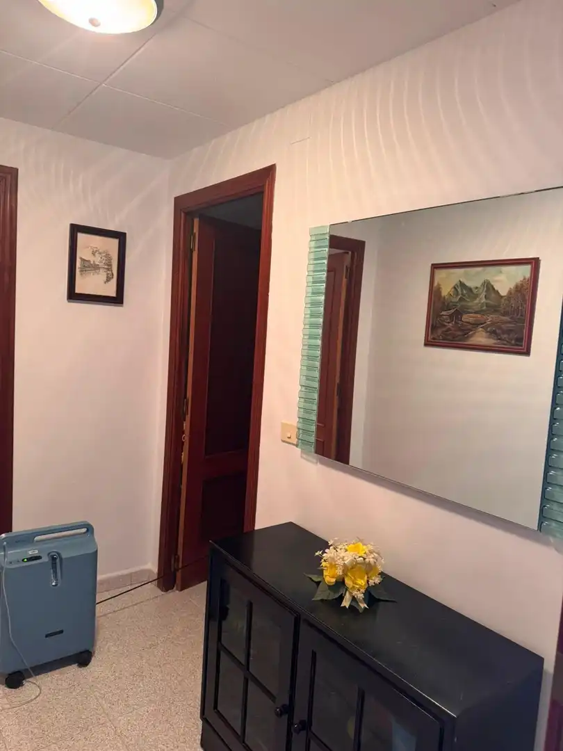 Apartament amb ascensor en venda a Les Palmeres, imagen 26