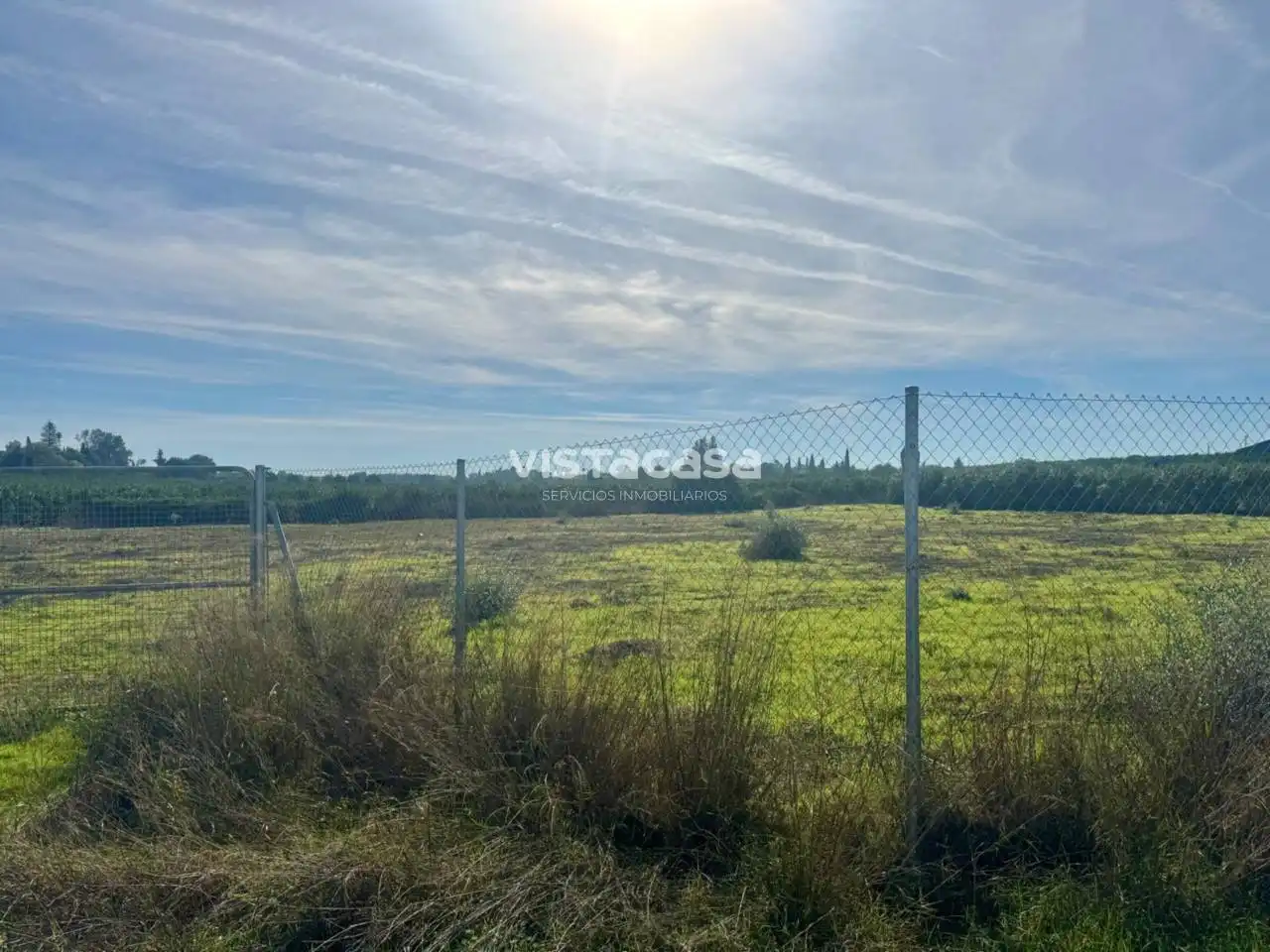 Terreno en venta en Carmona