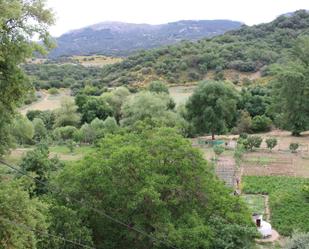 Jardí de Casa o xalet en venda en Cortes de la Frontera amb Piscina