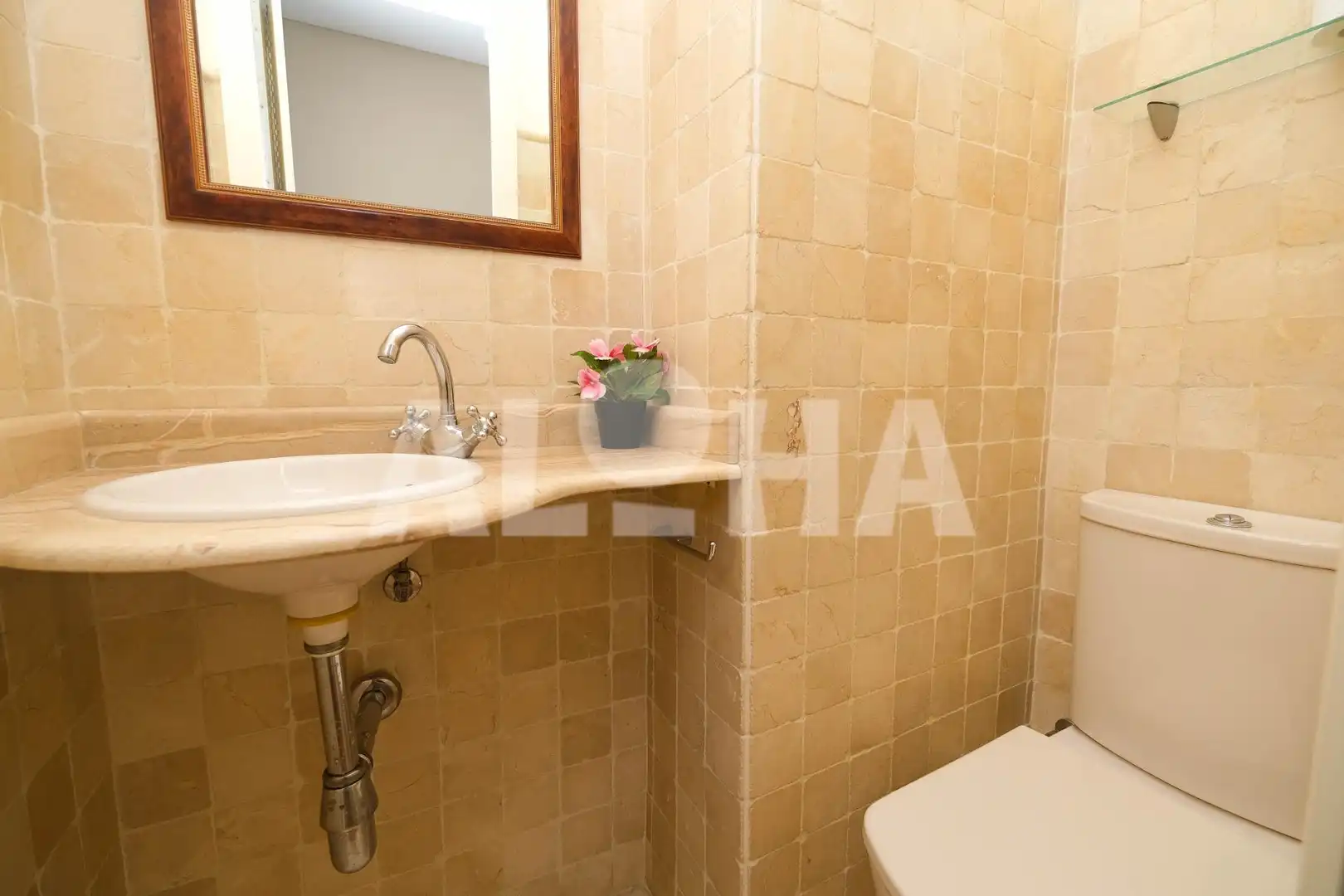 Apartments for rent in Arrancapins