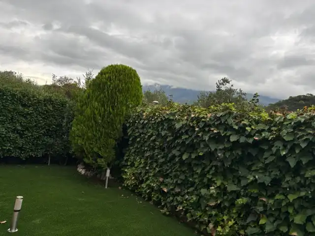 Jardín de Casa o chalet en venta en Sant Esteve de Palautordera, Barcelona