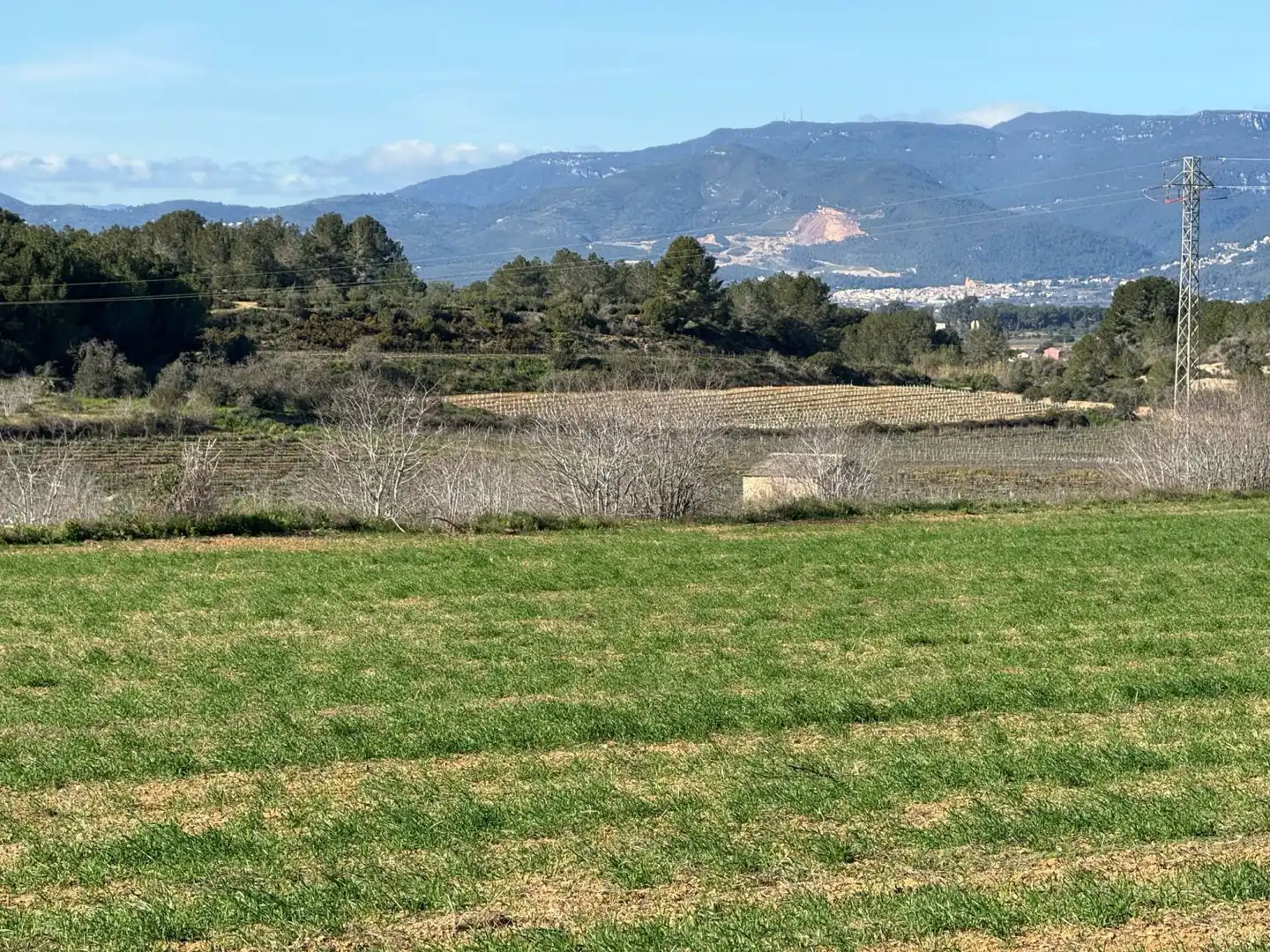 Finca rústica en venda a Puigpelat