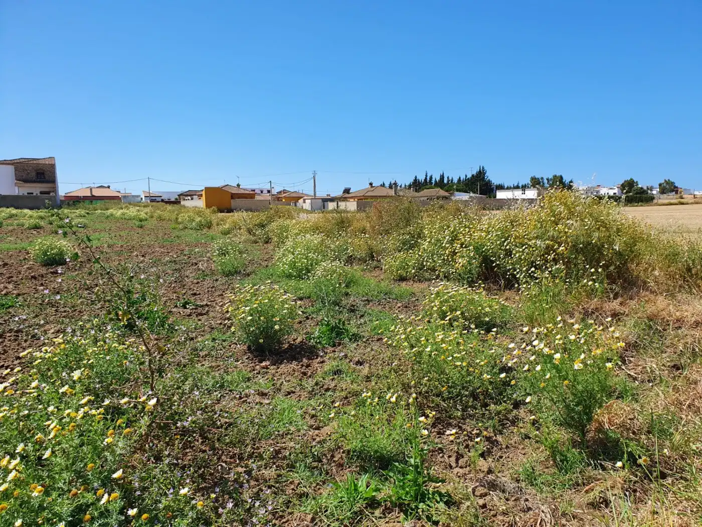 Terreno residencial en venta en La Banda - Campo de Fútbol, imagen 3