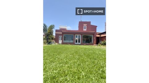 Photo 4 of Room in Tacoronte - Los Naranjeros, Tacoronte