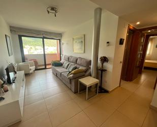 Sala d'estar de Dúplex en venda en La Garriga amb Terrassa i Balcó