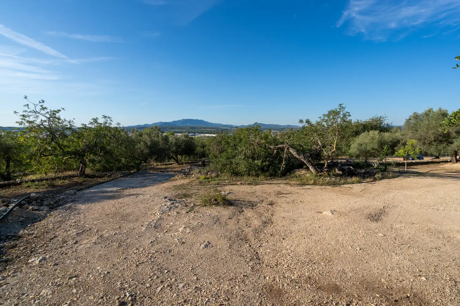 Finca rústica en venda en Tortosa amb Terrassa i Traster