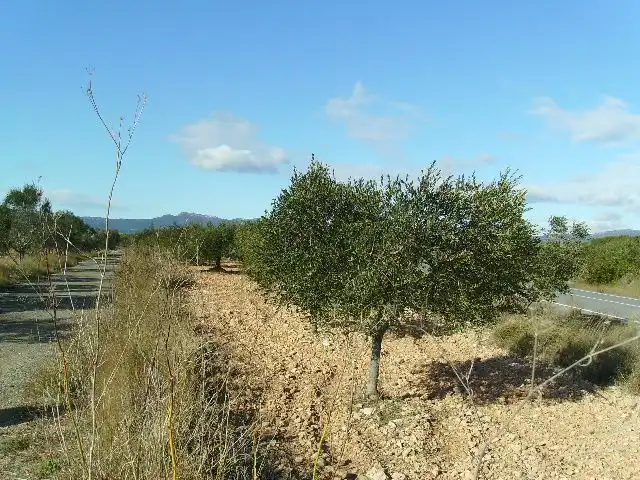 Land for sale in Vila-rodona