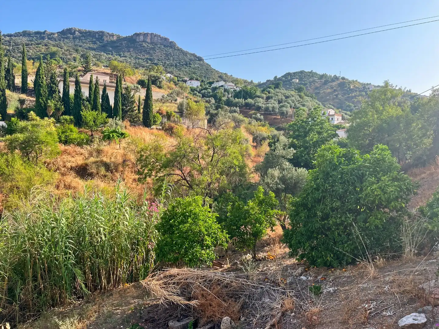 Country homes for sale in Comares
