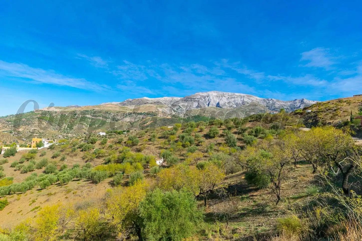 Terreno rústico en venta en Sedella