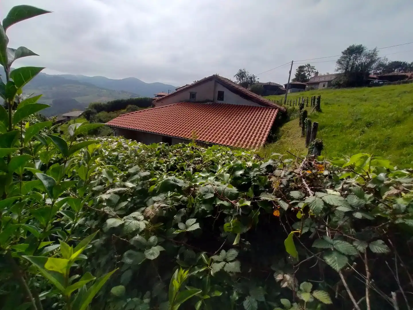 Vista exterior de Finca rústica en venda en Cudillero amb Jardí privat, Terrassa i Traster