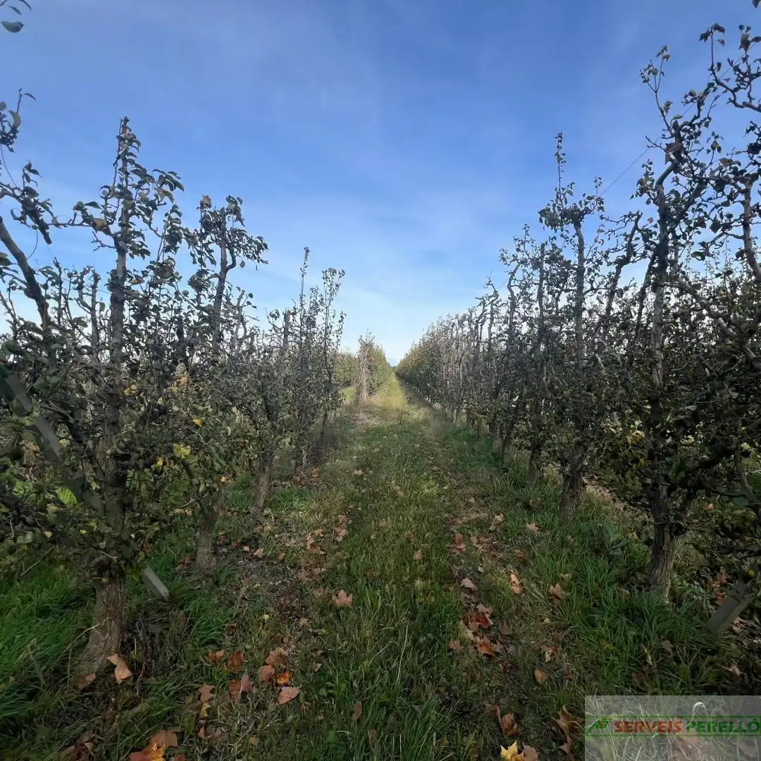 Terrenos y solares en venta en Golmés, imagen 4