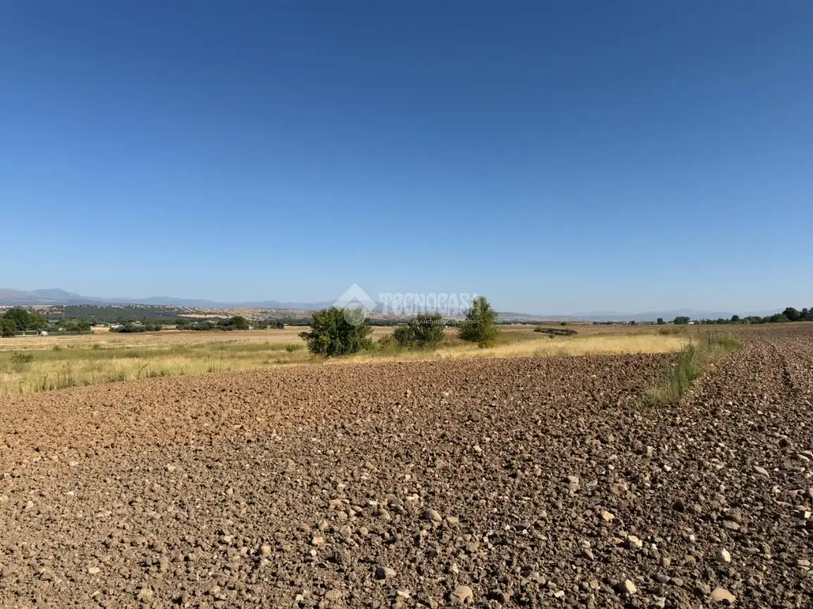 Terreny rústic en venda a Fuente El Saz de Jarama, imagen 5