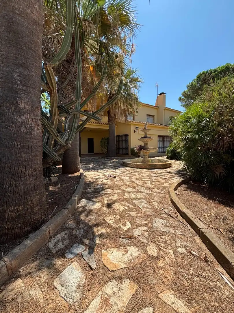 Exterior view of Houses for sale in Cartagena  with Private garden, Terrace and Storage room