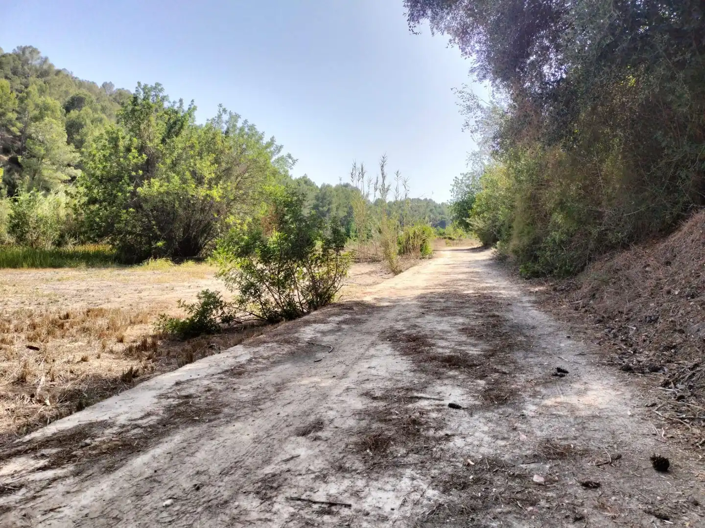 Local en venta en L'Alcúdia de Crespins