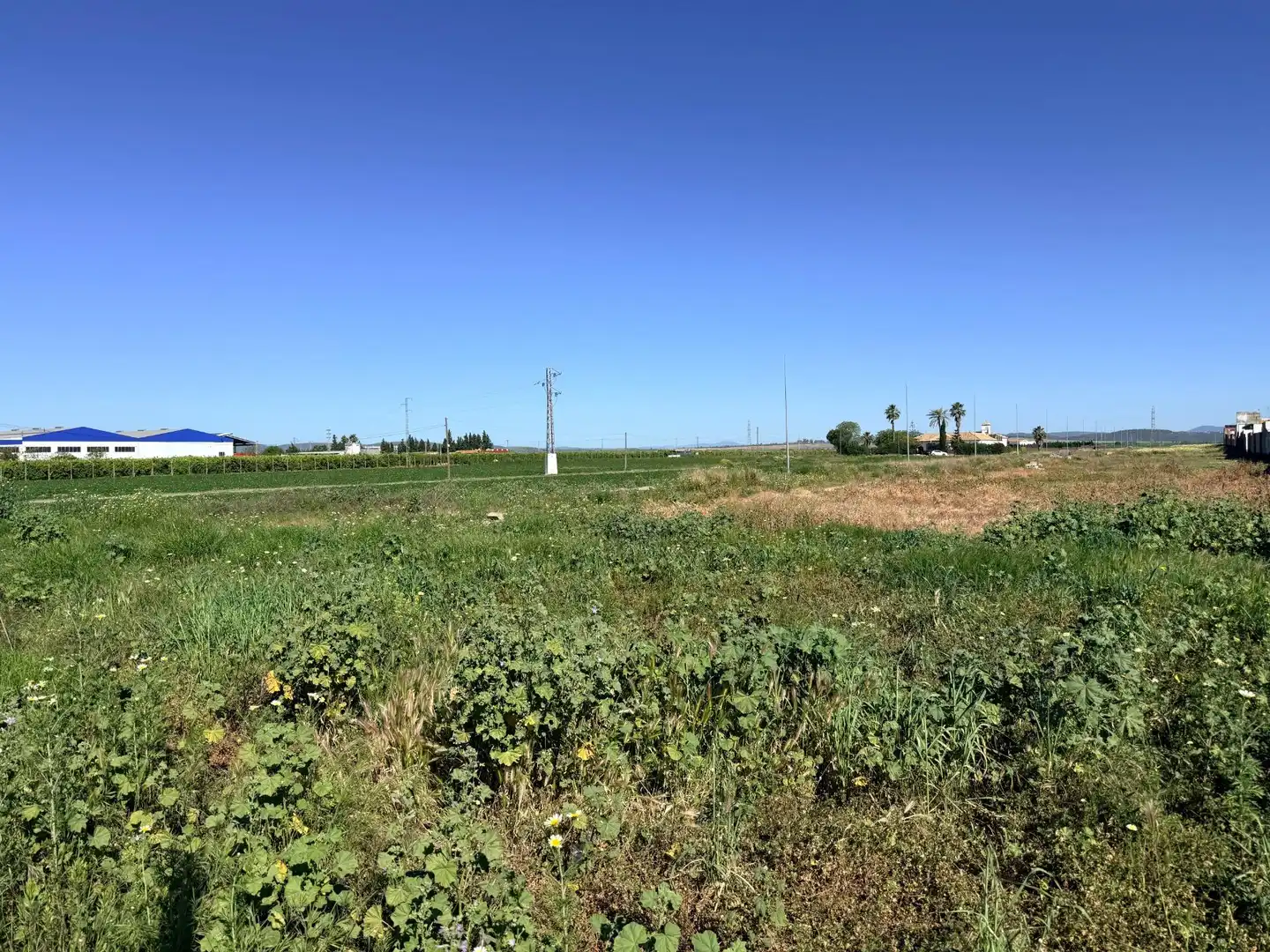 Residential for sale in Tocina