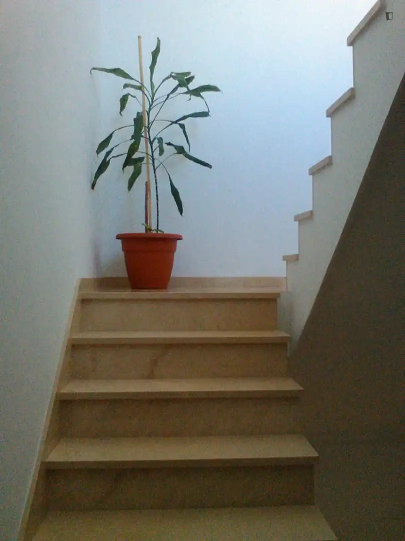 Habitación en Torreblanca