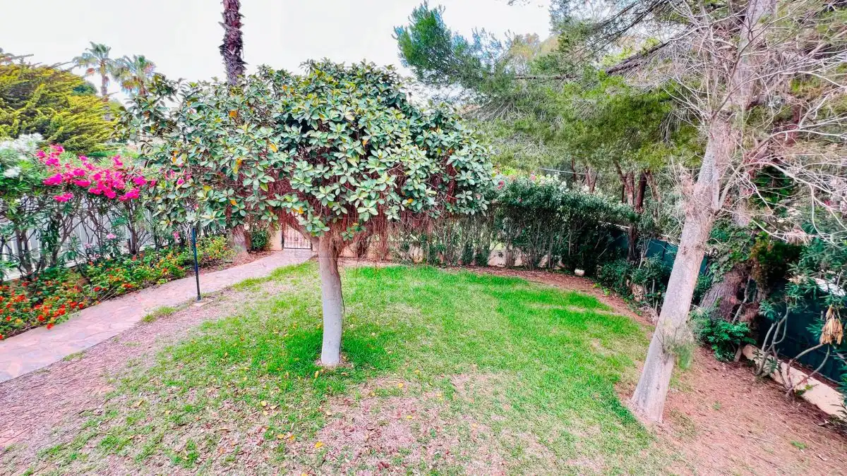 Jardí de Casa o xalet en venda en Orihuela amb Terrassa, Moblat i Balcó