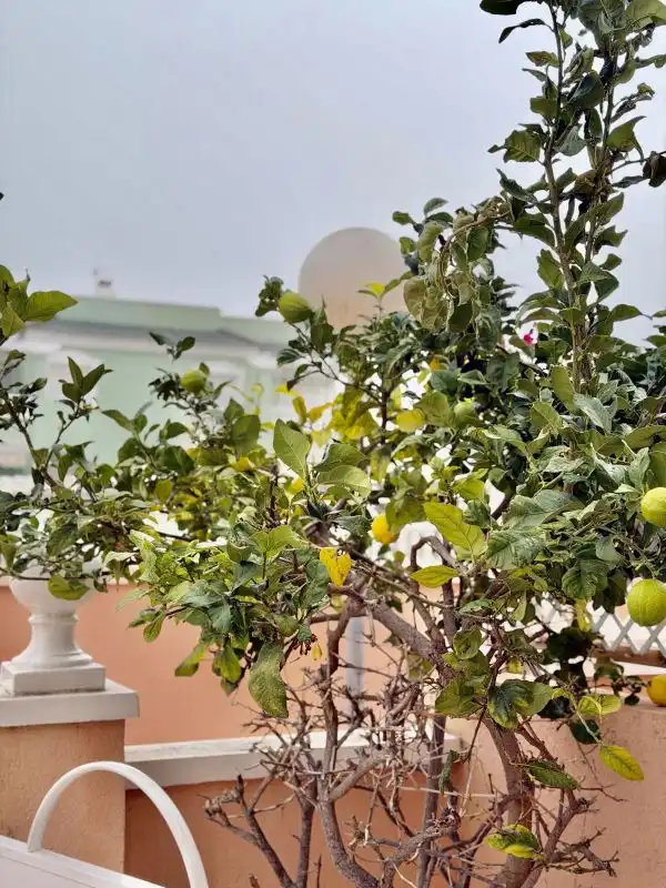 Jardín de Casa o chalet en venta en Santa Pola con Aire acondicionado, Calefacción y Terraza