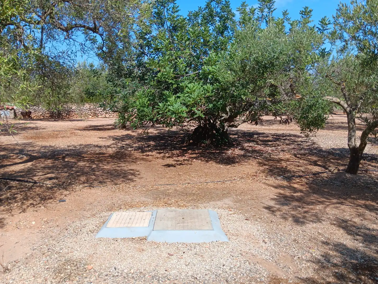 Lands and plots for sale in Roquetes, imagen 22