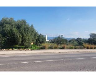 Industrial land for sale in L'Alcora