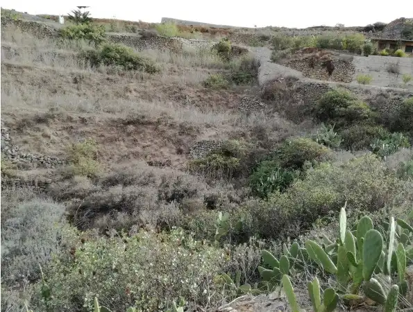 Rural land for sale in Centro, imagen 10