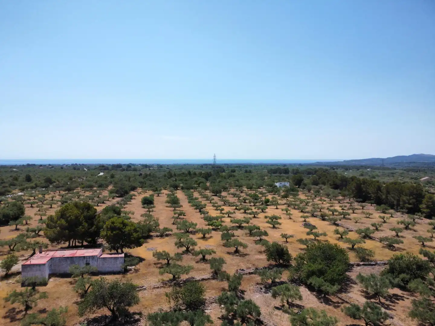 Maison rustique à vendre à L'Ametlla de Mar pueblo, imagen 13