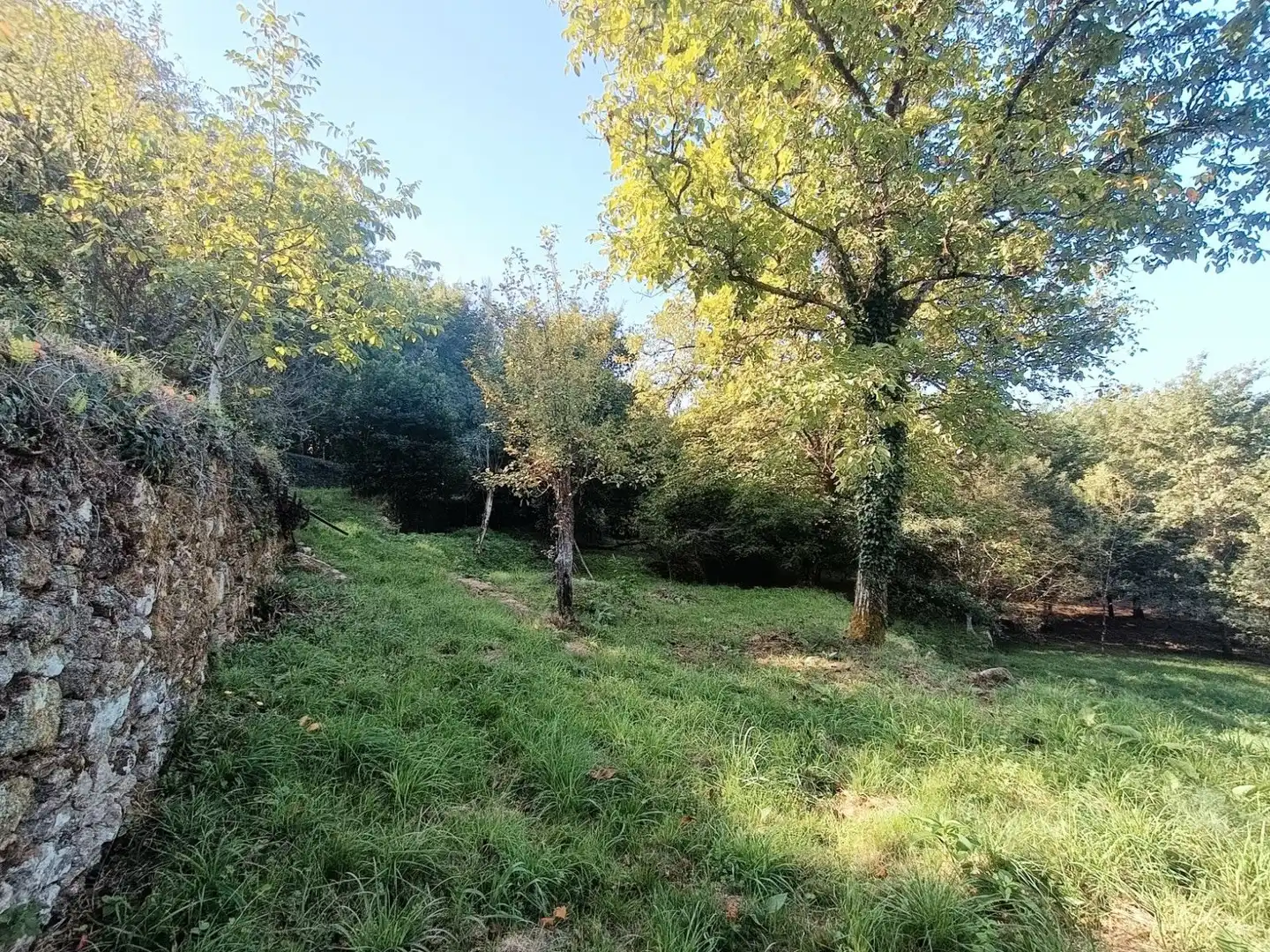 Casa o xalet en venda en Padrenda
