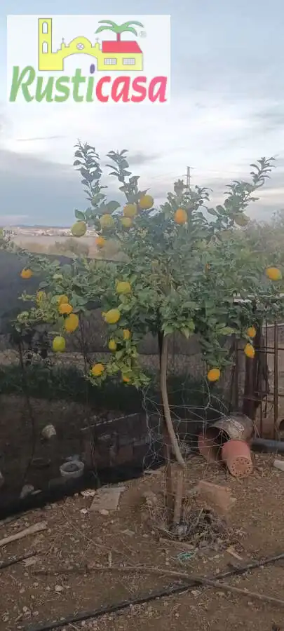 Terreni e lotti in vendita a Sevilleja, imagen 25