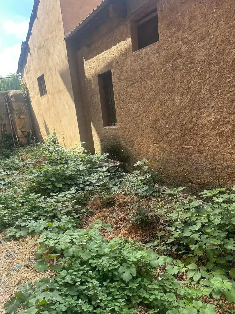 Haus zum Verkauf in Matilla de los Caños del Río, imagen 18
