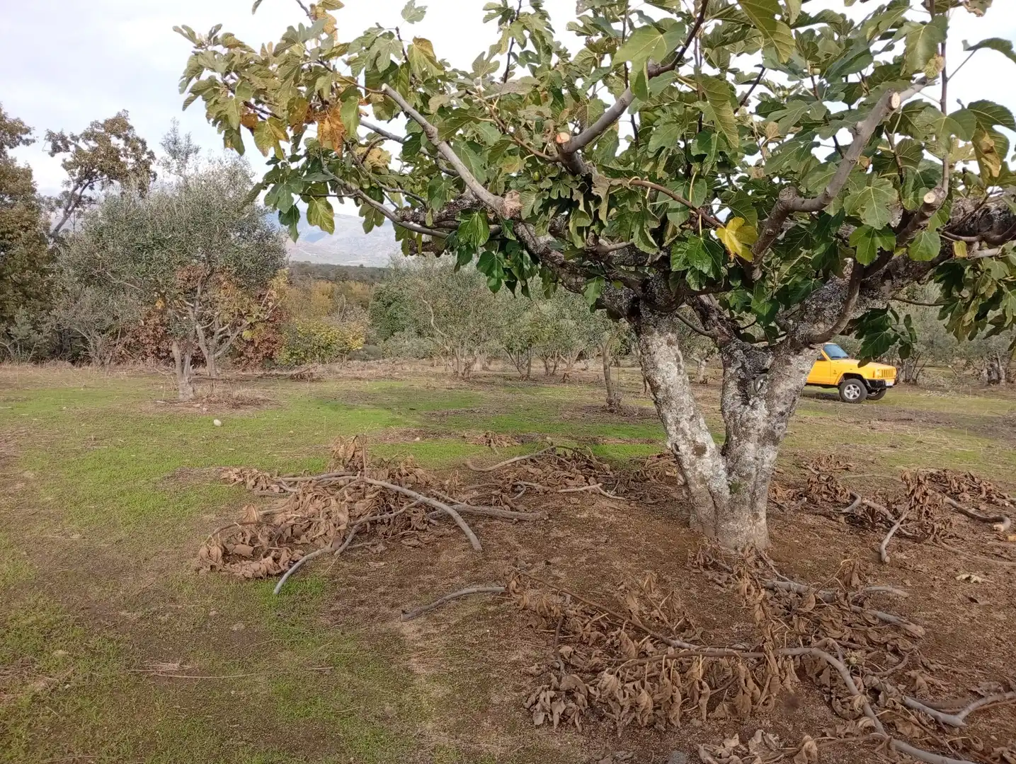 Terreni e lotti in vendita a Villanueva de la Vera, imagen 37