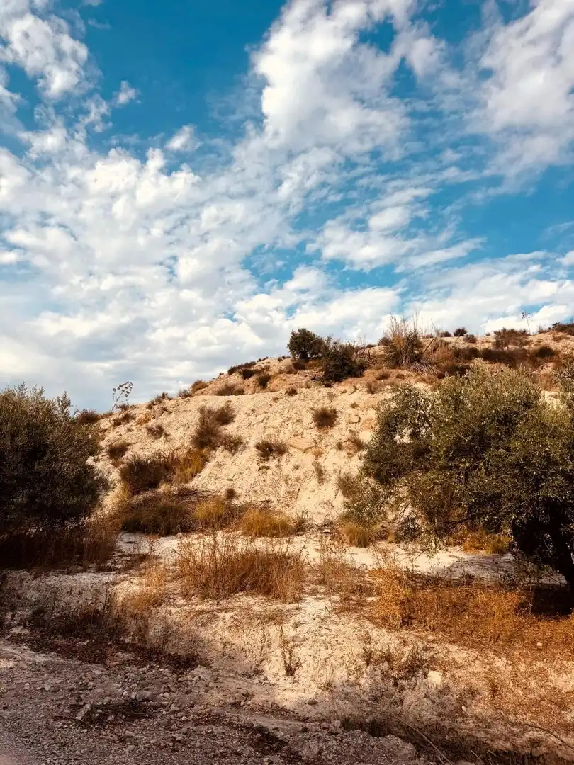 Terrain rustique à vendre à Campo de Murcia, imagen 8