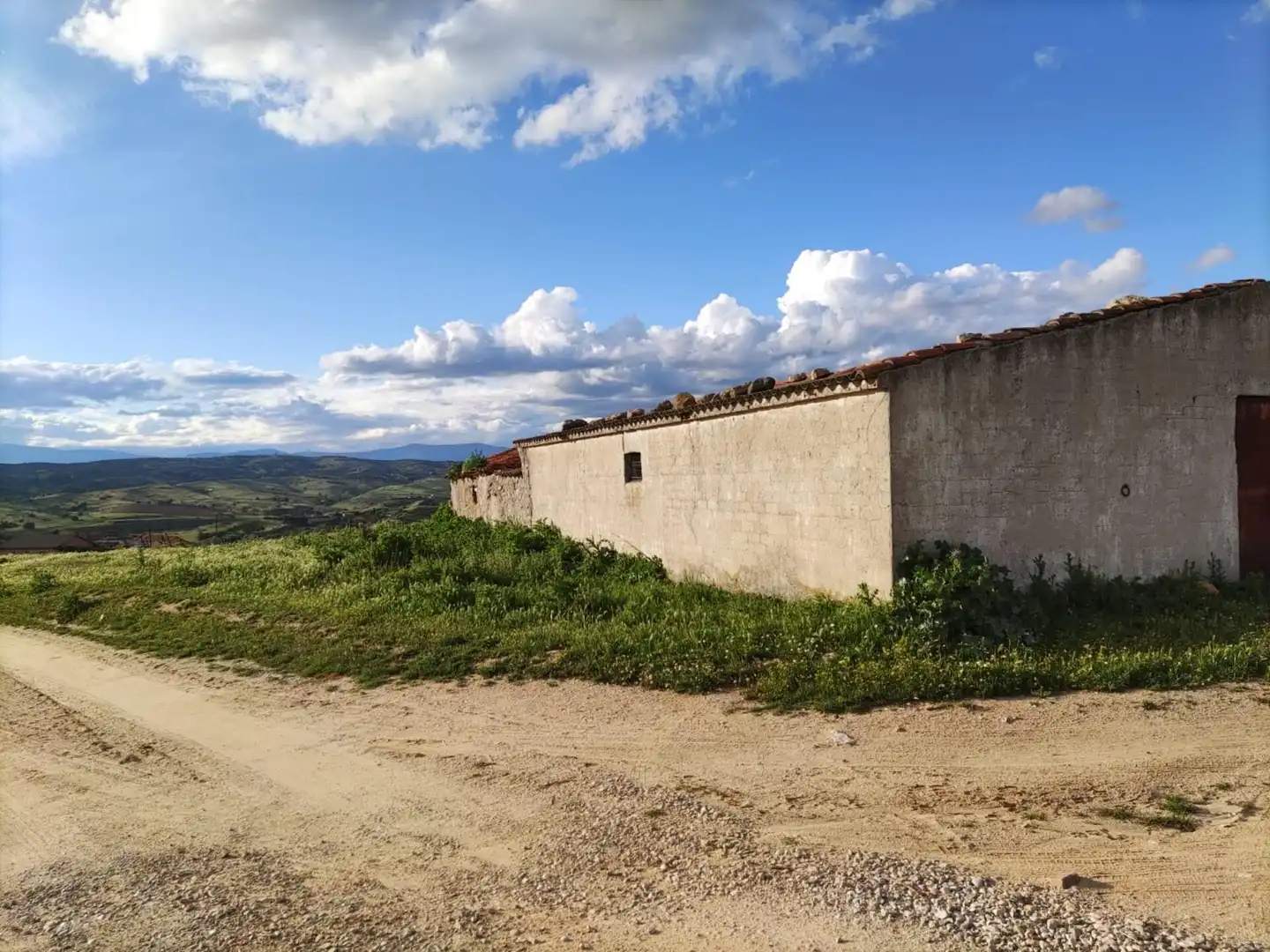 Local commercial à vendre à CERRO 1, imagen 2