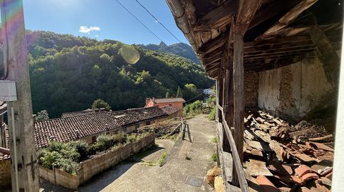 Foto 2 de Finca rústica en venda a Municipio Caleao, Caso, Asturias