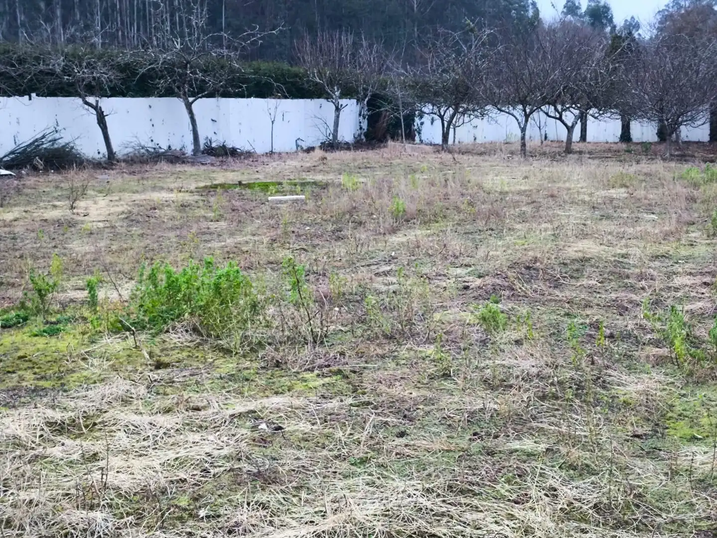 Terreni e lotti in vendita a Lugar VIVENTE, imagen 2