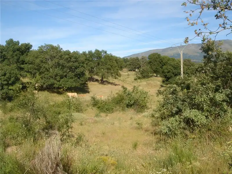 Terrains et parcelles à vendre à Finca Condesa, imagen 3