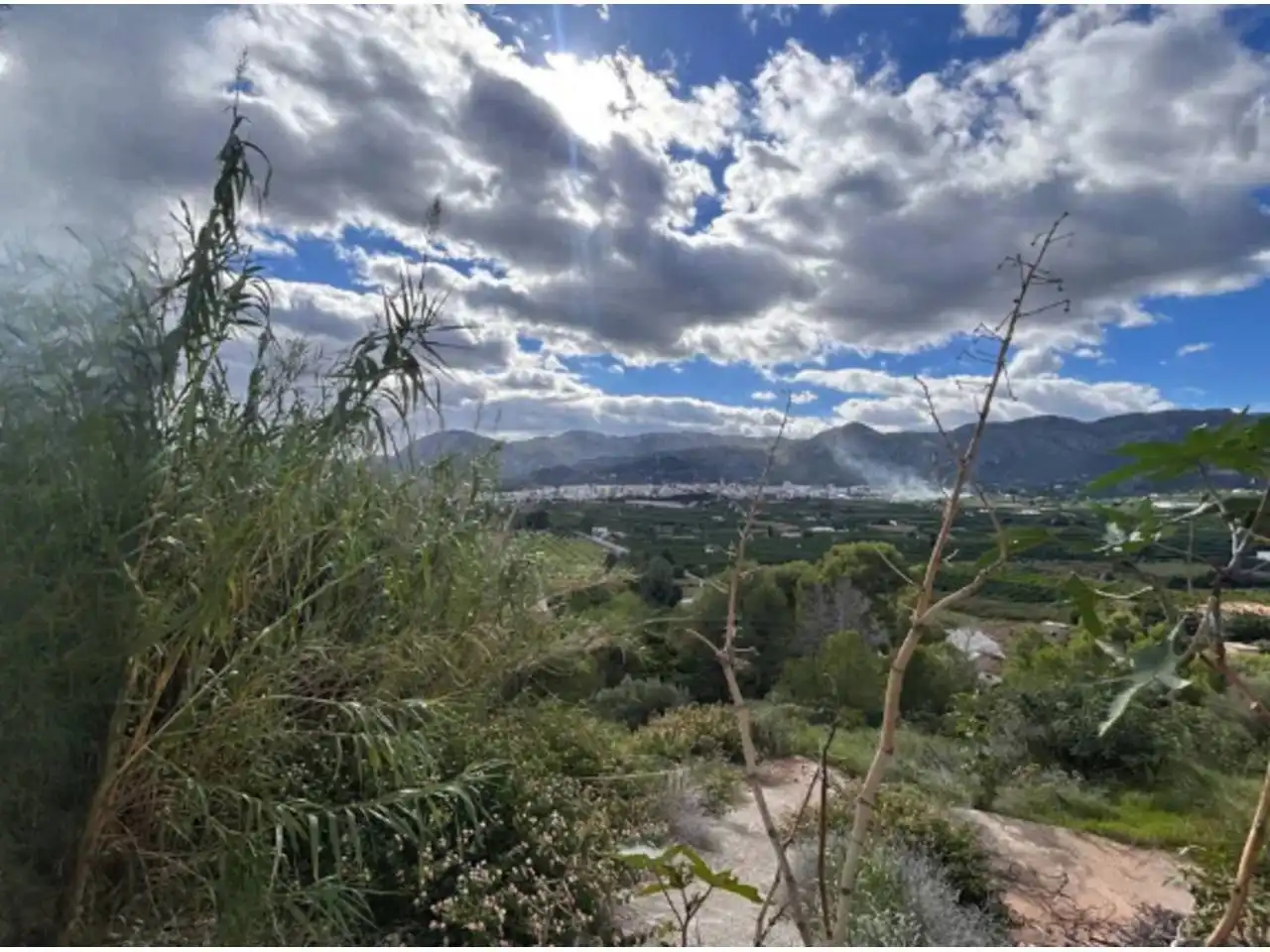 Terreny residencial en venda a Urbanizacion Monte Mostalla, imagen 2