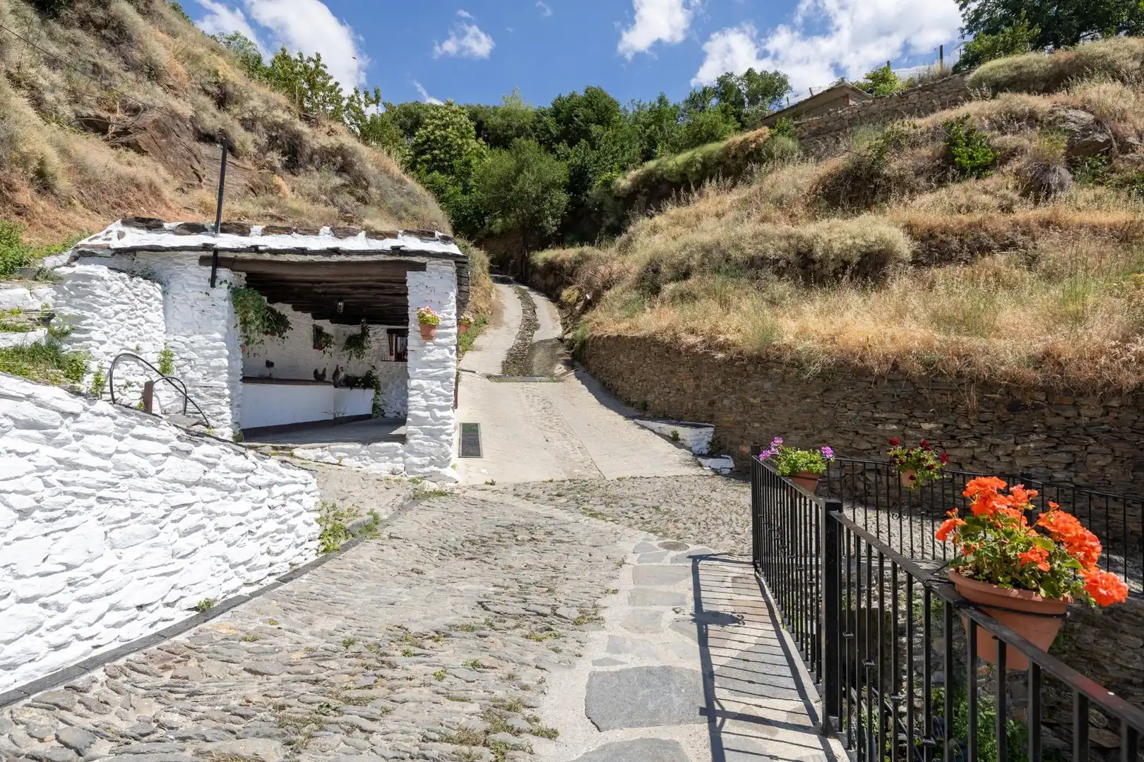 Vista exterior de Casa o chalet en venta en Trevélez con Amueblado