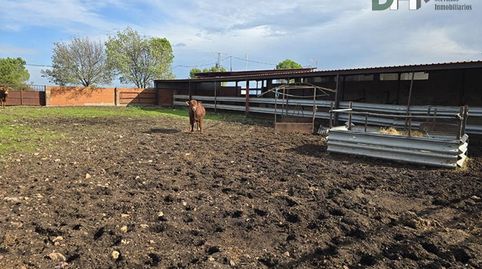 Foto 2 de Residencial en venta en Mejostilla, Cáceres Capital