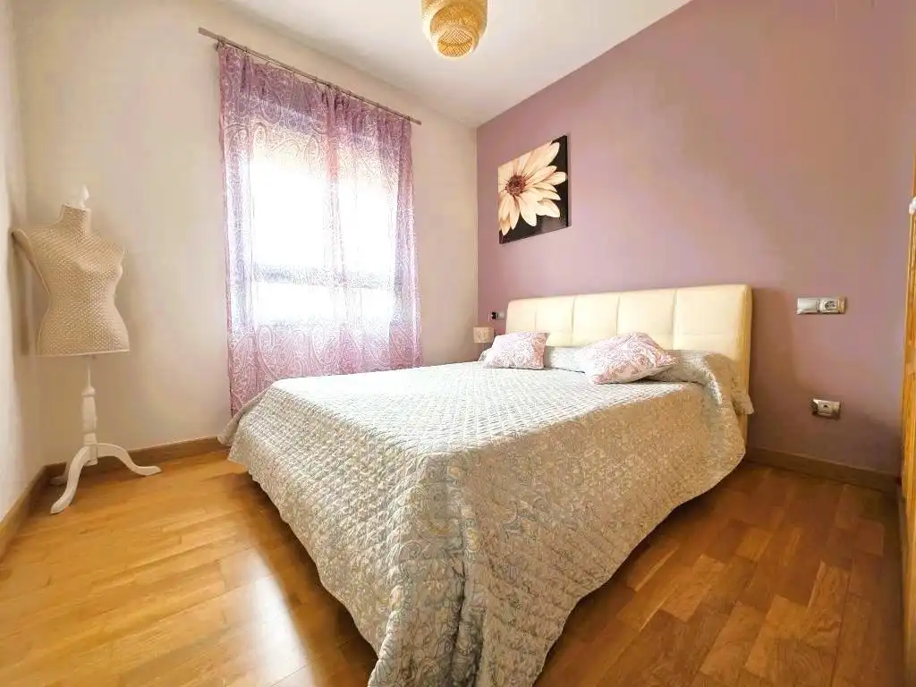 Penthouse with pool to rent in Avenida MARIA VICTORIA ATENCIA, imagen 15