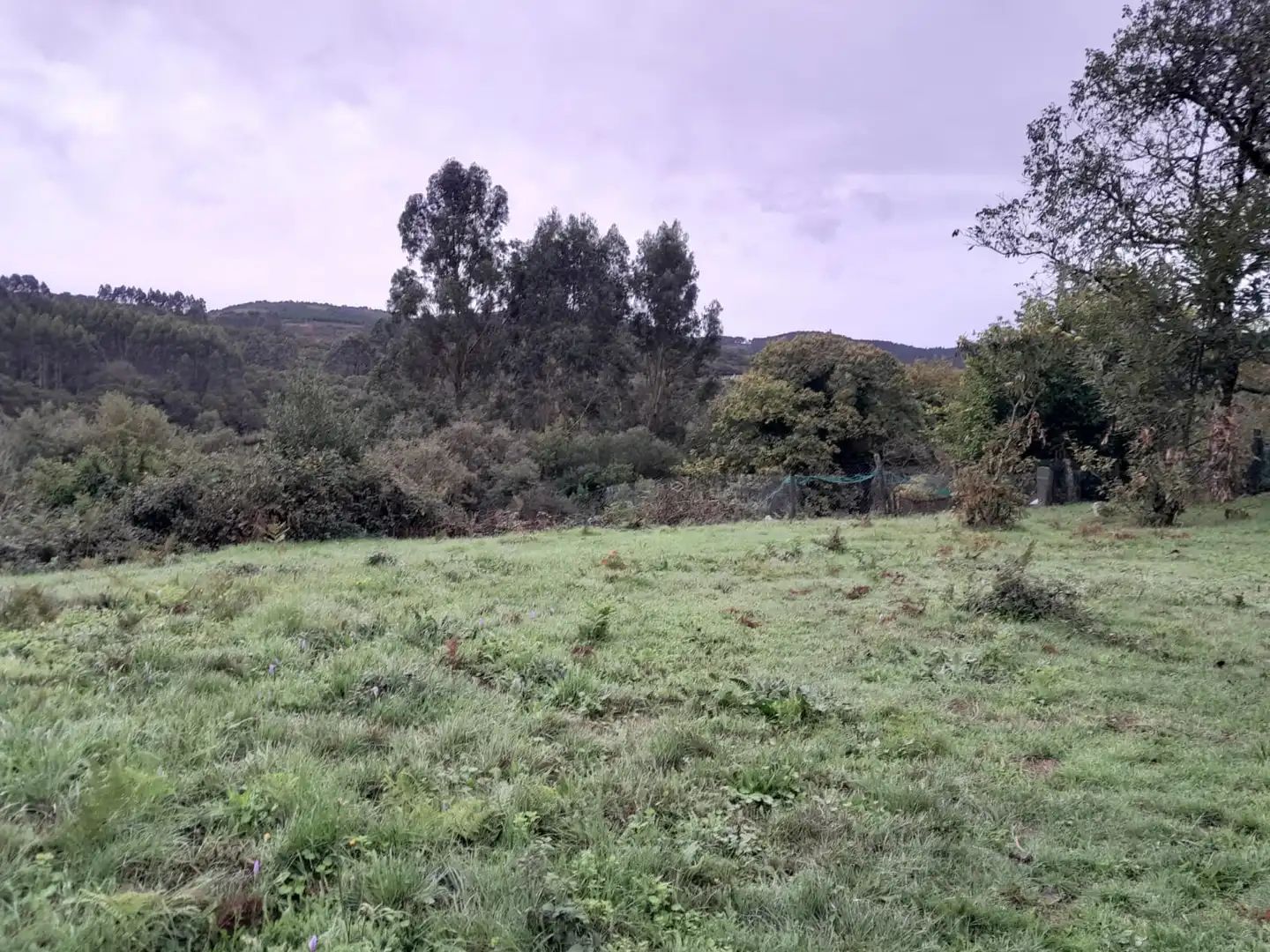 Casa o chalet en venta en Covelo con Jardín privado