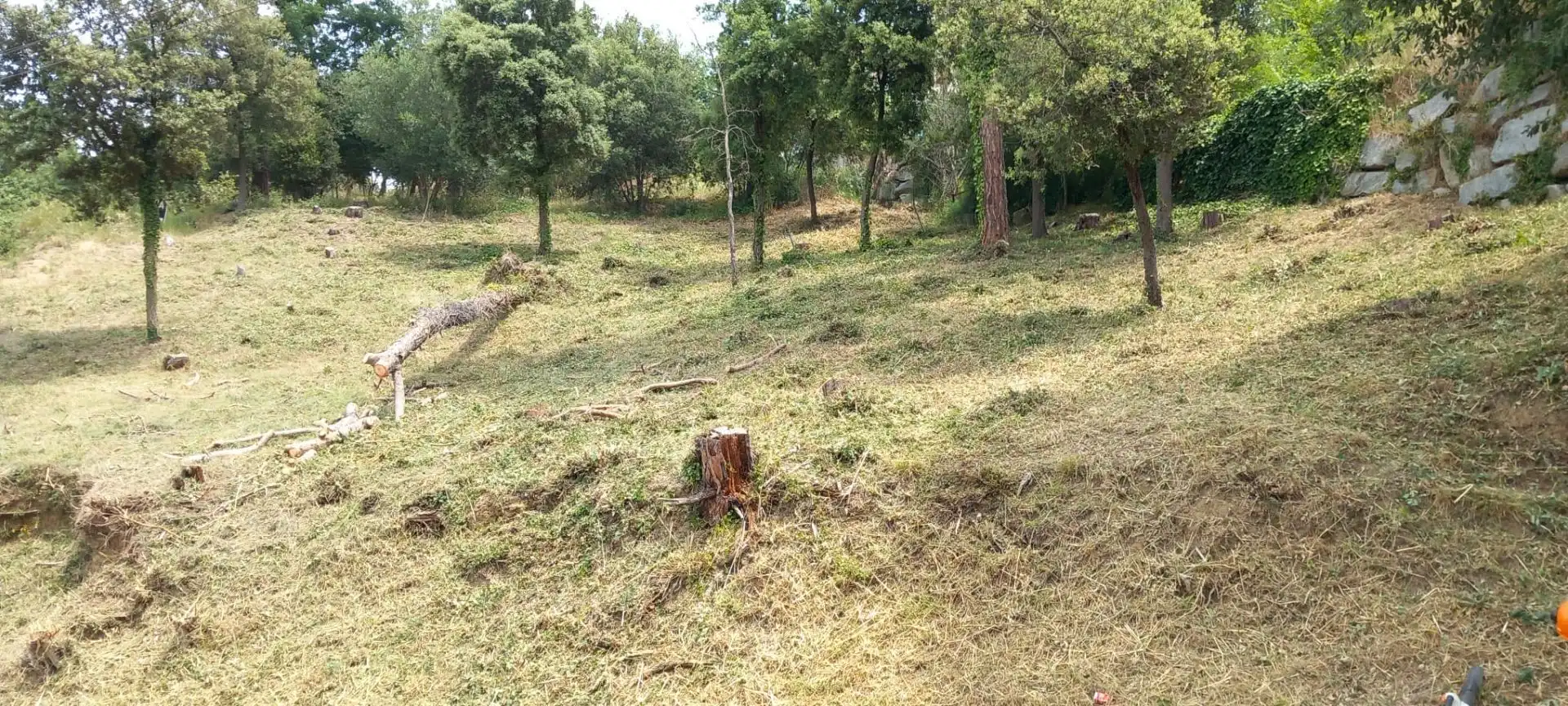 Terreni e lotti in vendita a Santa Maria de Palautordera