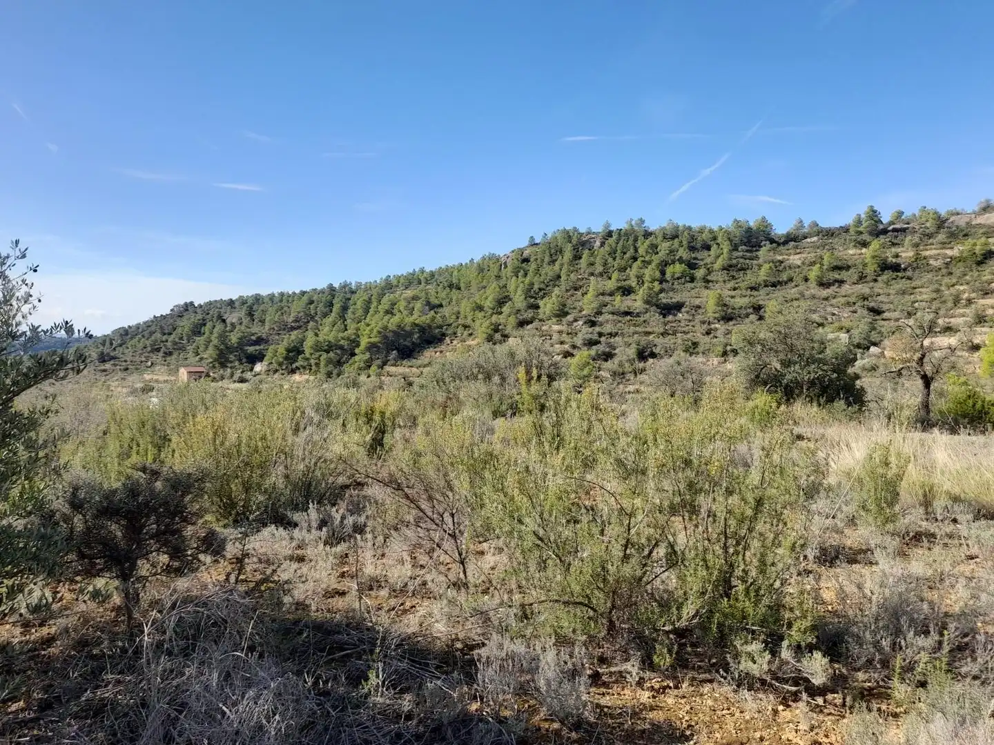 Land for sale in La Palma d'Ebre