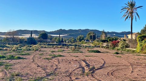 PARCELA RUSTICA EN CAMINO DE LOS MOLINOS  TOTANA