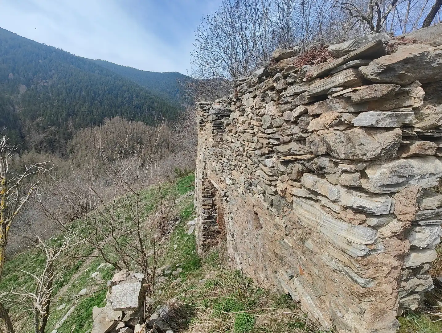 Vista exterior de Finca rústica en venta en Molló con Jardín privado y Balcón