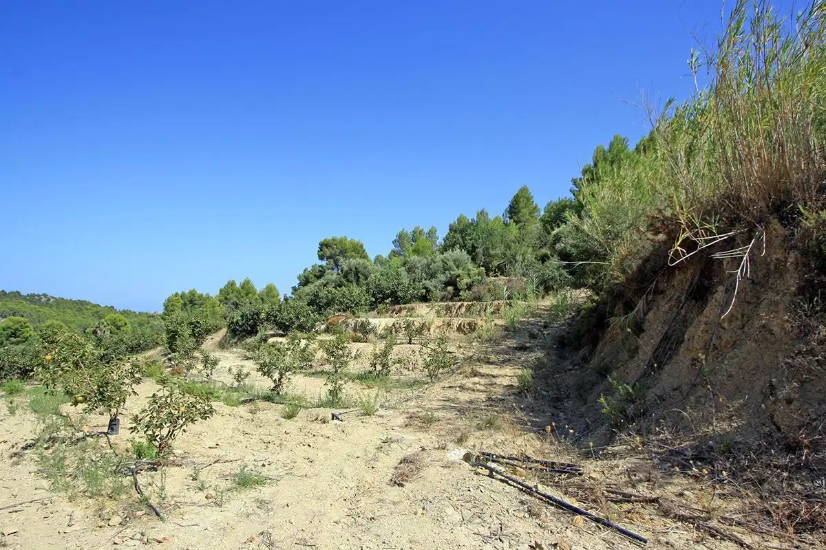 Terrenys i solars en venda a Beniarbeig, imagen 2