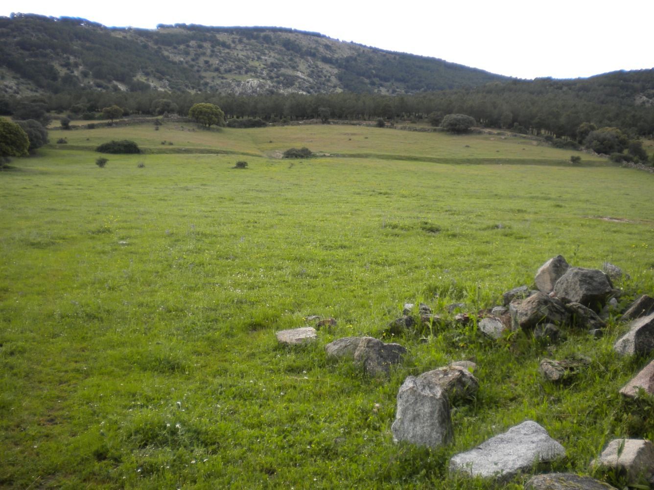 Terreno en venta en Moralzarzal